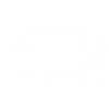 Fast Delivery